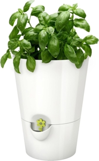 Emsa 514244 Kräutertopf für frische Kräuter, Selbstbewässerung, Wasserstandsanzeiger, Ø 13 cm, Weiß, Fresh Herbs
