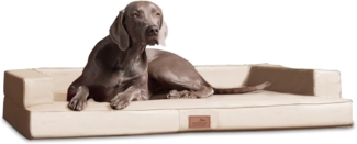 GIBSON Orthopädisches Hundesofa - 80x60cm, 05 Creme