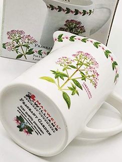 Milchkännchen OREGANO 200 ml Fragrant Garden / Maxwell & Williams / White Basics / Kännchen / Milchkrug