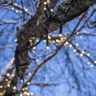 System LED "LED-Lichterkette 3m" 30 LEDs warmweiß, IP44