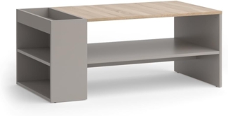 Vicco Couchtisch Greige 100 x 55 cm mit Regalen, Wido