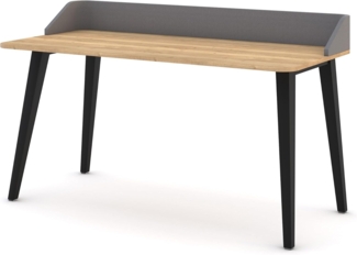 ASSMANN Sekretär Retaro Anthrazit 120x60x74cm Metall Holz