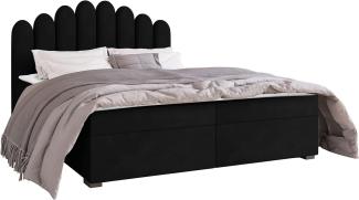 Mirjan24 	Boxspringbett Tosian, Schwarz, 160 x 200 cm