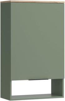 Hängeschrank Wido Grün 60 x 100 cm mit Tür Vicco
