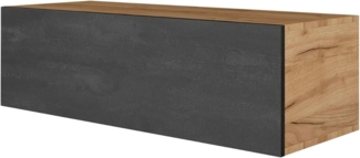 Planetmöbel TV-Board WEST (TV Lowboard, Fernsehschrank hängend oder stehend), Fernsehtisch 1x 100cm breit