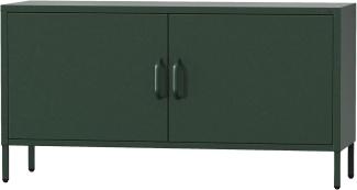 Jan Nowak TV Schrank, Fernsehschrank Metall - ROSA | TV Board Glitzernd für Wohnzimmer, Schlafzimmer | Industrial Loft Stil | Fernsehtisch mit Türen und Stauraum | 115 x 59,5 x 40 cm | Flaschengrün