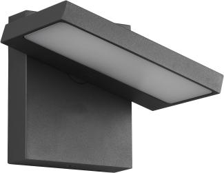 LED Außenwandleuchte HORTON Downlight schwenkbar in Anthrazit