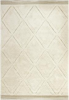 Hochflor Teppich Colin Beige - 160x230x2,2cm