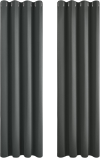 Deconovo Verdunkelungsvorhang Kälteschutz Gardinen Schlafzimmer Kälteschutzvorhang Blickdicht, 229x117 cm(HöhexBreite), Dunkelgrau, 2er Set