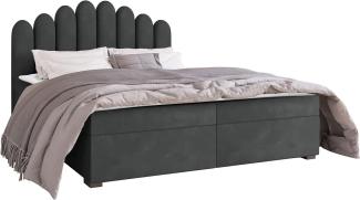 Mirjan24 	Boxspringbett Tosian, Grau, 140 x 200 cm