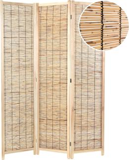 DESIGN DELIGHTS Paravent RAUMTEILER "PLAYA", Schilfrohr, 170x120 cm, Natur Paravent, Farbe: