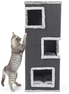 Canadian Cat Company Kratzbaum Kratzturm Patrick, Katzenhaus, Kratzbaum, 35 x 35 x 90 cm