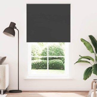 Verdunklungsrollo, vidaXL, Verdunkelungsrollo Schwarz 140x230 cm Stoffbreite 136,6 cm