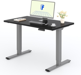FLEXISPOT Höhenverstellbarer Schreibtisch mit 2 Motoren & 25MM einteiliger Tischplatte,ergonomischer Bürotisch - 120x60 cm Schwarz, graues Gestell