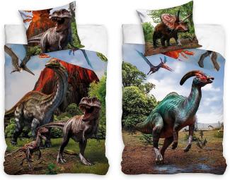 Dinosaurier Kinderbettwäsche Set für Jungen 135x200 80x80 cm mit Dinos T-Rex, Triceratops u. a. aus 100% Baumwolle