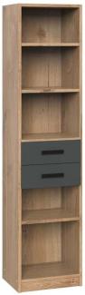 Regal Lakewood / Liverpool , Holzwerkstoff , Holzfarben , 47 x 198 x 38 cm