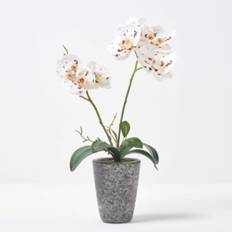 Kunstorchidee Künstliche weiße Phalaenopsis-Orchidee im grauen Zement-Topf, 46 cm, Homescapes, Höhe 46 cm