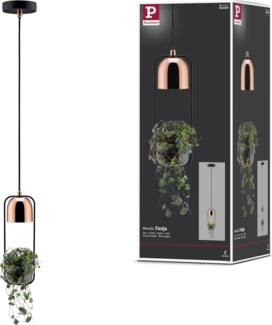 Paulmann No. 79749 Pendelleuchte Tasja 1-flammig Pflanzenleuchte schwarz kupfer