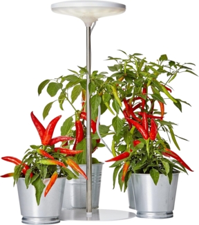 Northpoint Pflanzenlampe Northpoint LED Pflanzenleuchte Pflanzenlicht mit Teleskopstab