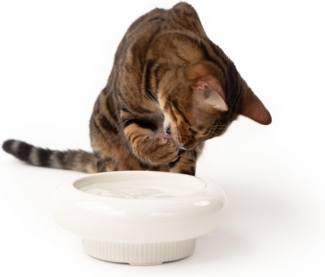 LucyBalu Futternapf MYCO erhöhter Katzennapf aus Keramik, Stoneware, Ergonomischer Futter- und Trinknapf für Katzen