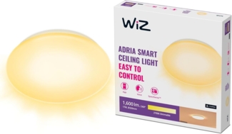 WiZ Adria celing lamp