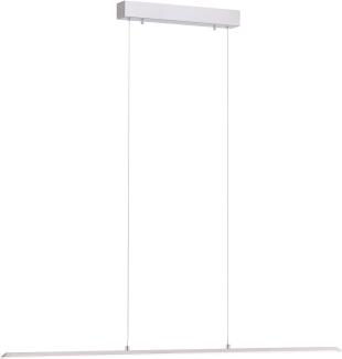 Paul Neuhaus 8375-55 PURE-LITE LED Pendelleuchte stahl CCT 100cm