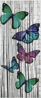 WENKO Türvorhang, Hakenaufhängung (1 St), halbtransparent, BxH: 90x200 cm