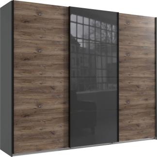 Vitrine Glasvitrine Scara 90x35x199cm kieselgrau Zinneiche 2-türig