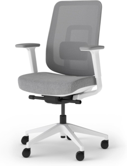 Ergotopia Bürostuhl PureBack ergonomischer Schreibtischstuhl