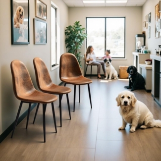 FurnitureR Meditationsbank/Gebetsbank - Braun Veloursimitat, Gepolstert, Metallkreuzgestell, Stabiler Sitz für Yoga & Meditation (Einzelstück)