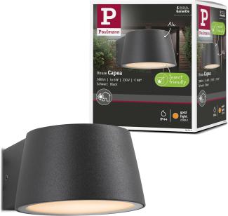 Paulmann 94713 LED Außenwandleuchte Capea insektenfreundlich IP44 Goldlicht