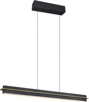 Trio Pendelleuchte Emerson 22W schwarz warmweiß-kaltweiß