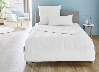 Badenia Bettcomfort Irisette Steppbett warm aus Kamelhaar für den Winter, 135x200 cm