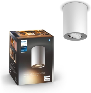 Pillar Hue ext. spot single spot white 1