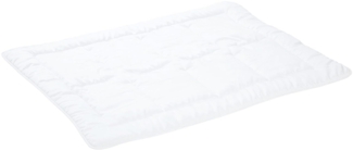 Alvi 4 Jahreszeiten Tencel-Set Einziehdecke 100x135 cm, Kissen 40x60 cm