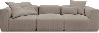 DOMO. collection Malia Modulsofa, 3 Sitzer bestehend aus DREI Modulen, 3 Couch, Sofa, braun, 301 x 108 cm