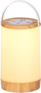 Northpoint LED Dekolicht LED RGB-IC Laterne für Innen und Außen Regenbogeneffekt Soundsteuerung