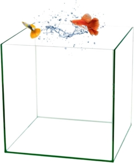 GarPet Aquarium Würfel Aquarium Cube 30x30x30 cm Becken Glasbecken 30 Glasaquarium