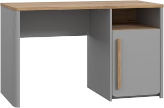 FORTE Surfinio Schreibtisch, Holzwerkstoff, Grau/Braun, 120 x 73,5 x 58,7 cm