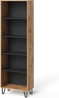 Vicco Bücherregal Eiche Wotan 60x186.6 cm, Amber