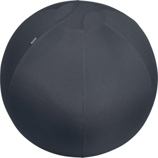 Leitz Sitzball Active 65420089 65cm grau