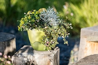 PLASTIA Blumentopf Mareta 30 grün / grün mit Erdbewässerung