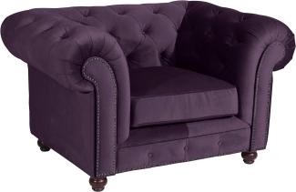 Orleans Sessel Samtvelours Purple Buche Nussbaumfarben