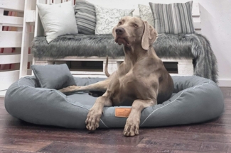 TIFFANY COUTURE Orthopädisches Hundebett - 115x90cm, 02 Graphit
