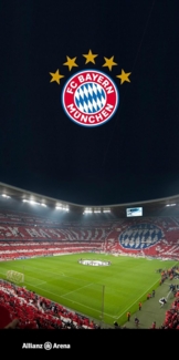 BERONAGE Strandtücher FC Bayern München Badetuch Allianz Arena 75x150 cm Strandtuch Fußball, (1-St), Frottee in Velours-Qualität