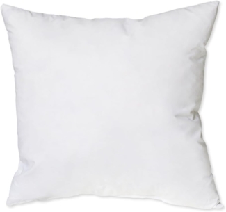 BettwarenShop Dekokissen Sofakissen Füllkissen Federkissen fest|40x40 cmBettwarenShop Dekokissen Sofakissen Füllkissen Federkissen fest