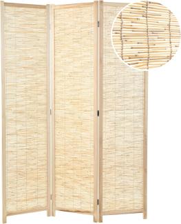 DESIGN DELIGHTS Paravent RAUMTEILER "PLAYA", Schilfrohr, 170x120 cm, Natur Paravent, Farbe: