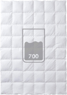 Kauffmann First Class Elegance 700 Daunendecke 135x200 Kassettendecke 4x6 6cm Steg