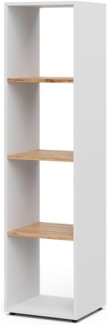 Vicco Raumteiler Weiß/Goldkraft Eiche 36.8 x 144.9 cm, Ludus