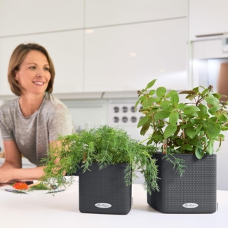 Lechuza Kräutertopf CUBE Color 14 x 14 x 14 cm schiefergrau